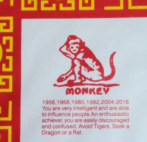 The Year of the Monkey